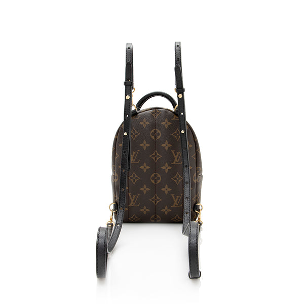Louis Vuitton Palm Springs Mini Backpack - Vintage Lux
