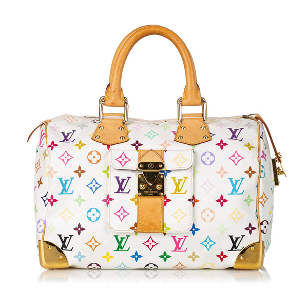 Pre-owned Louis Vuitton Speedy Leather Handbag In Multicolour