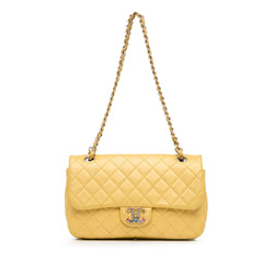 Chanel Medium Classic Lambskin Precious Jewel Single Flap (SHG-lt3YtA)