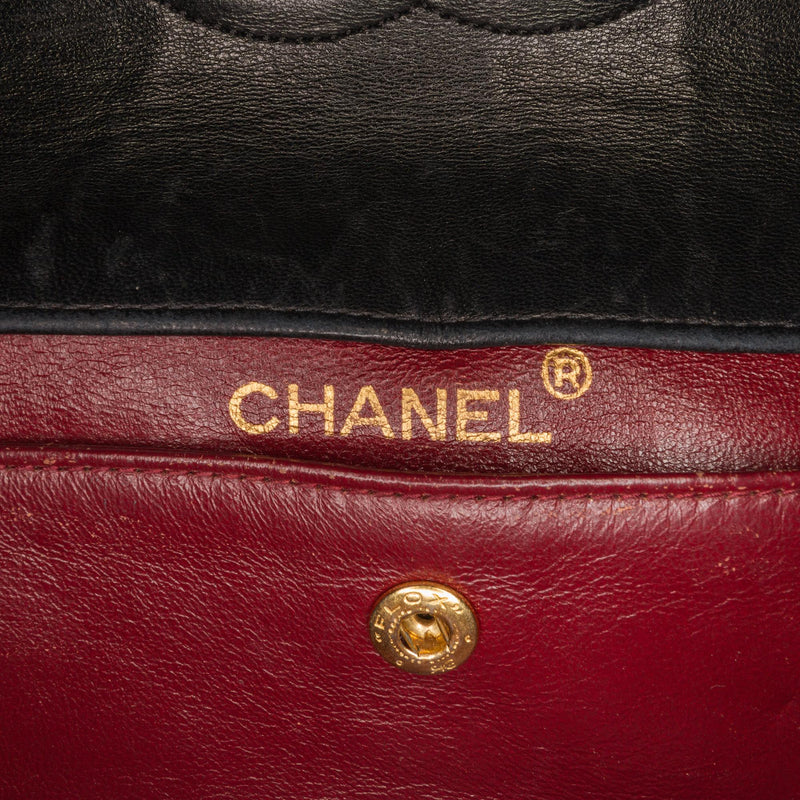 Chanel Quilted Lambskin Shoulder Bag (SHG-EufAHk)