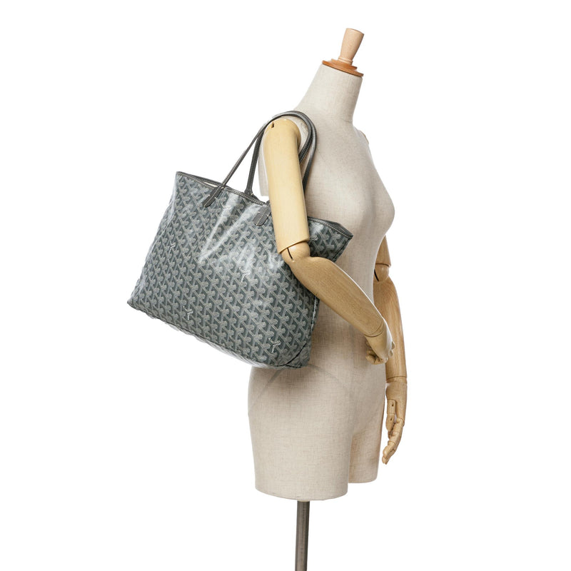 Goyard Goyardine Saint Louis PM (SHG-ybmusH)