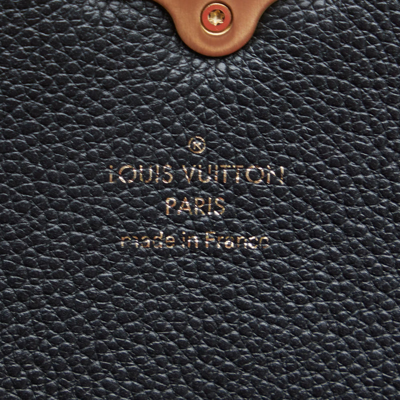 Louis Vuitton LV CLAPTON PM N44243