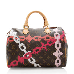 Louis Vuitton 2007 pre-owned Floral Speedy 30 Tote Bag - Farfetch