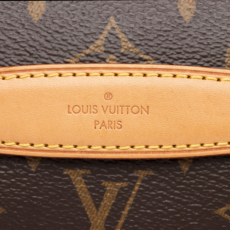 Louis Vuitton Giant Monogram Canvas Bumbag (SHF-22487) – LuxeDH