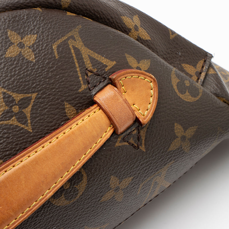 Louis Vuitton Monogram Canvas Bumbag (SHF-Av2GSa)