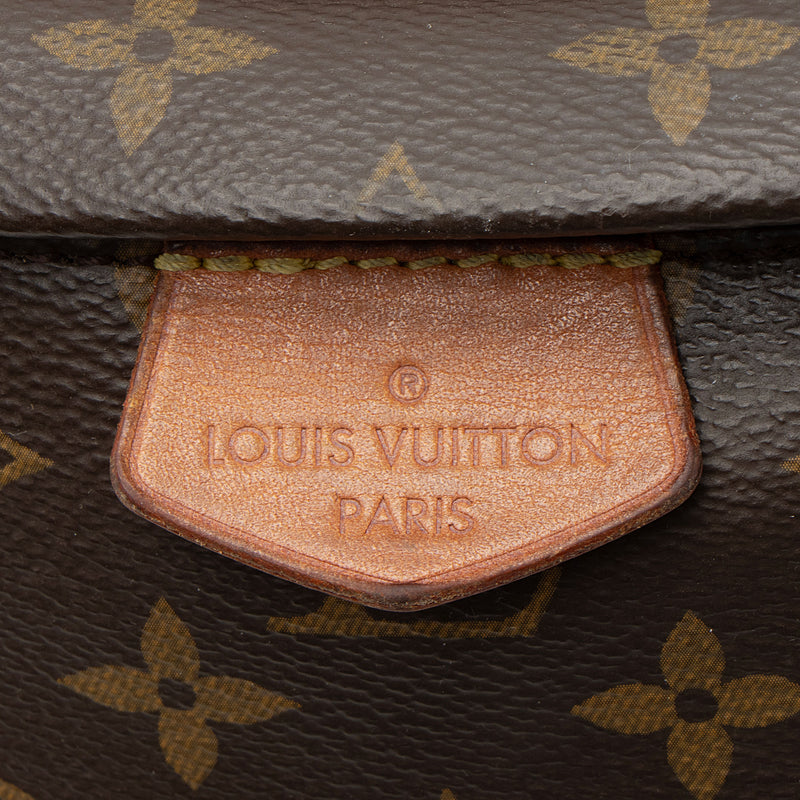 Louis Vuitton Monogram Canvas Bumbag (SHF-Av2GSa)