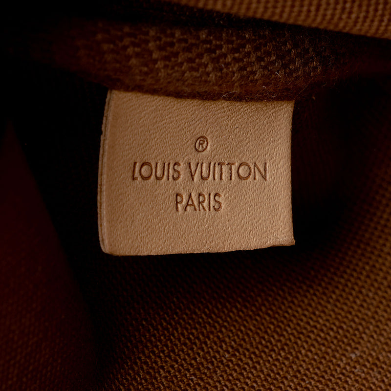 Louis Vuitton Monogram Canvas Multi-Pochette Accessoires (SHF-ThnCeI)
