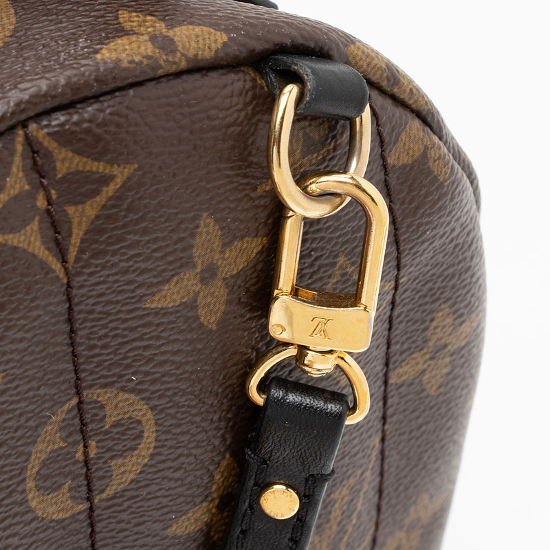 Louis Vuitton Monogram Canvas Palm Springs Mini Backpack (SHF-2EWGEF)