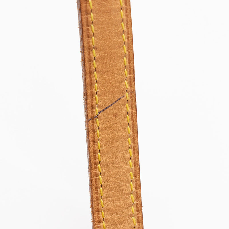 Louis Vuitton Coussin Canvas Shoulder Bag (pre-owned) in Metallic
