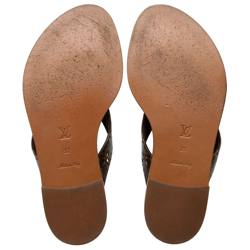 Louis Vuitton, Shoes, Louis Vuitton Brown Leather Canvas Strap Thong  Sandal Size 37 7