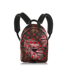 Louis Vuitton Monogram Palm Springs PM Backpack - A World Of Goods