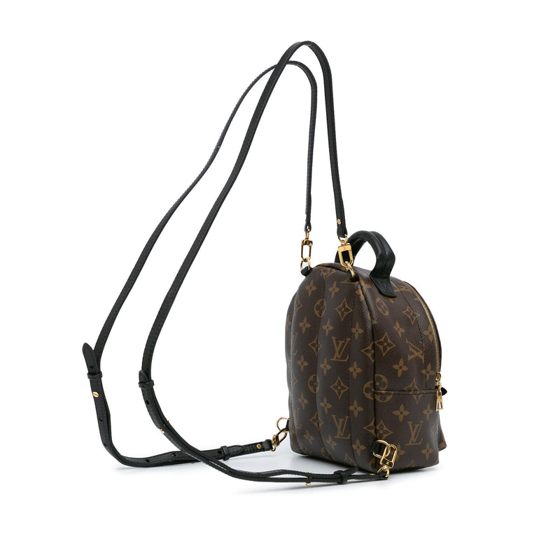 Louis Vuitton Monogram Mini Palm Springs (SHG-30Zl2K)