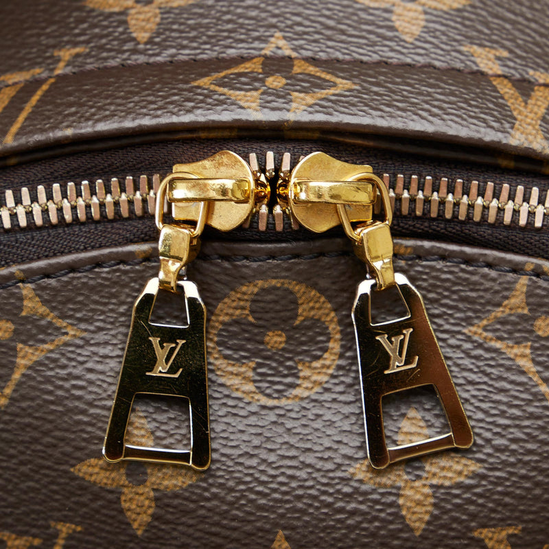 Louis Vuitton Monogram Palm Springs MM Brown Leather Women's