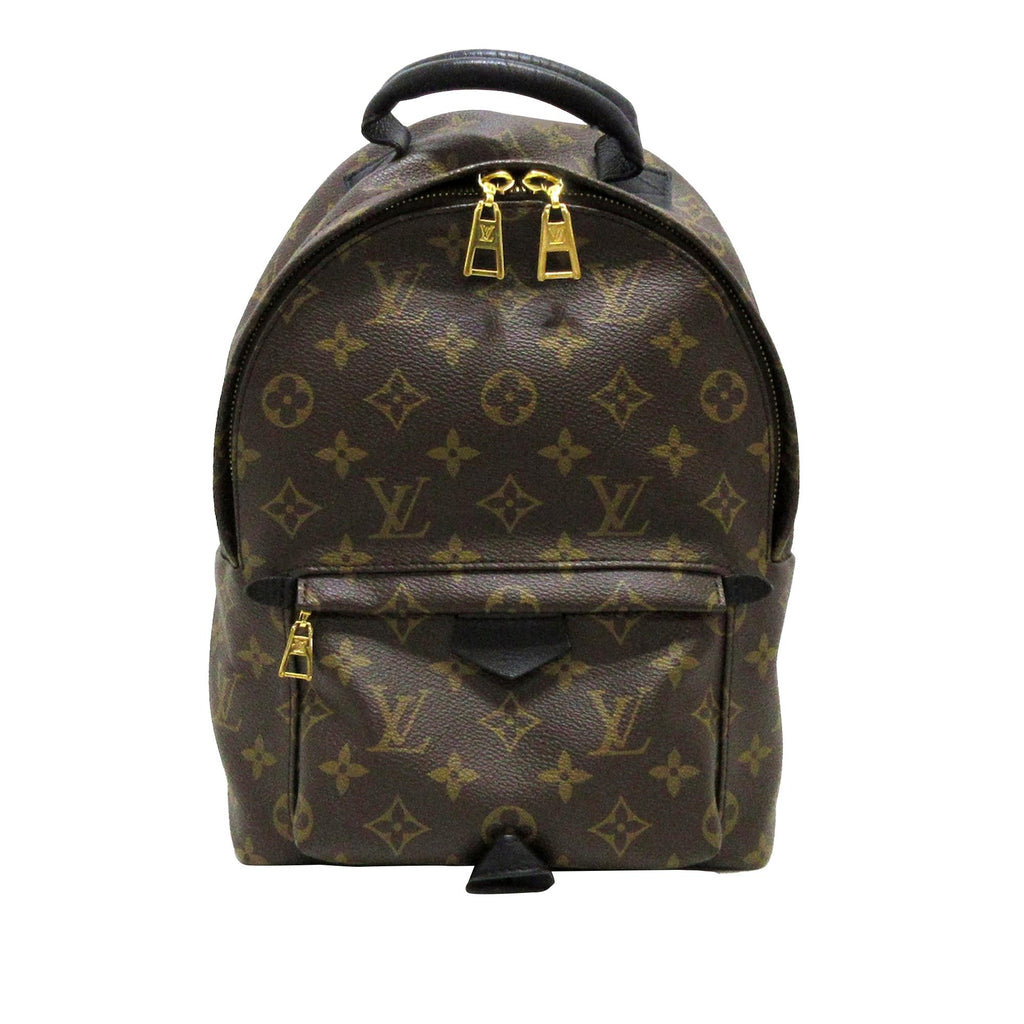 Louis Vuitton Monogram Palm Springs PM