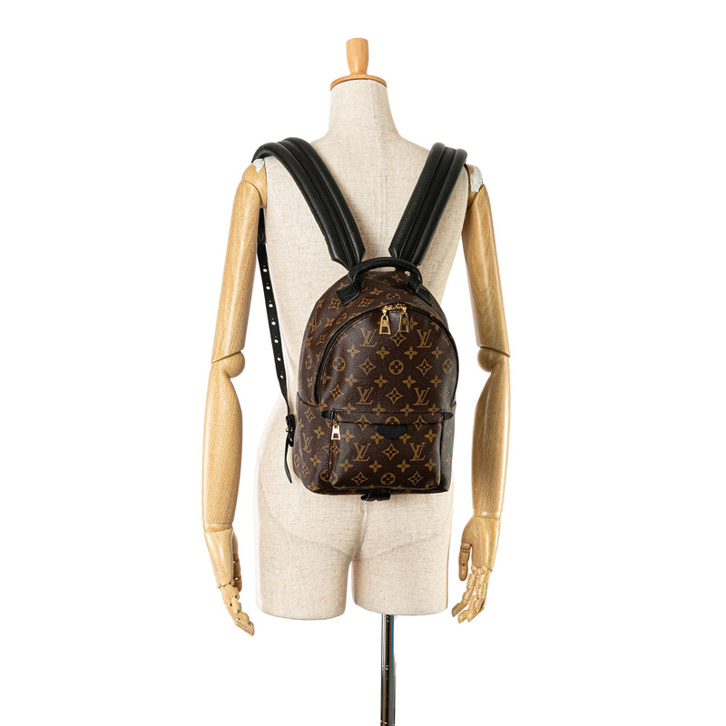 Louis Vuitton Monogram Palm Springs PM (SHG-mFALjL)