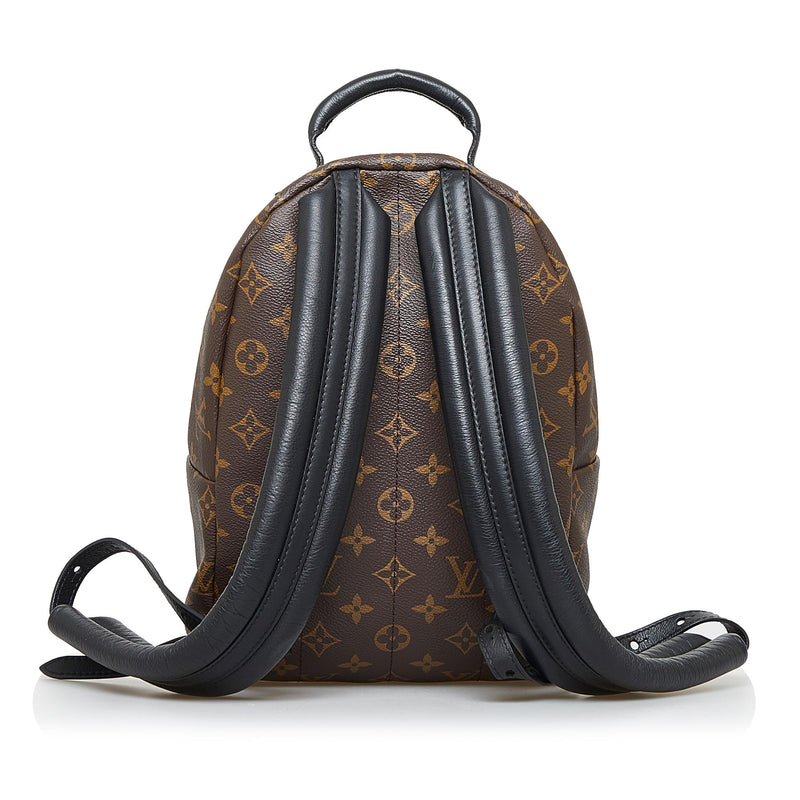 Louis Vuitton Reverse Monogram Palm Springs PM Backpack