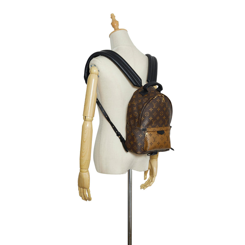 Louis Vuitton Monogram Canvas Reverse Palm Springs PM Backpack Bag