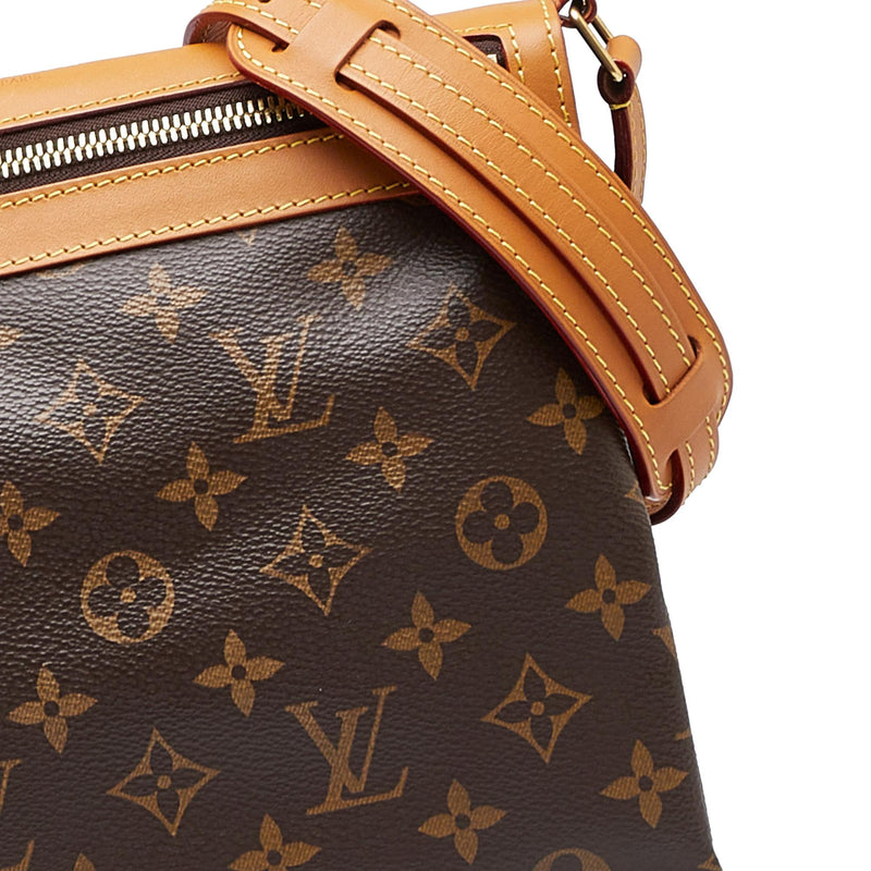 Louis Vuitton 2019 pre-owned Monogram Saumur PM Messenger Bag - Farfetch