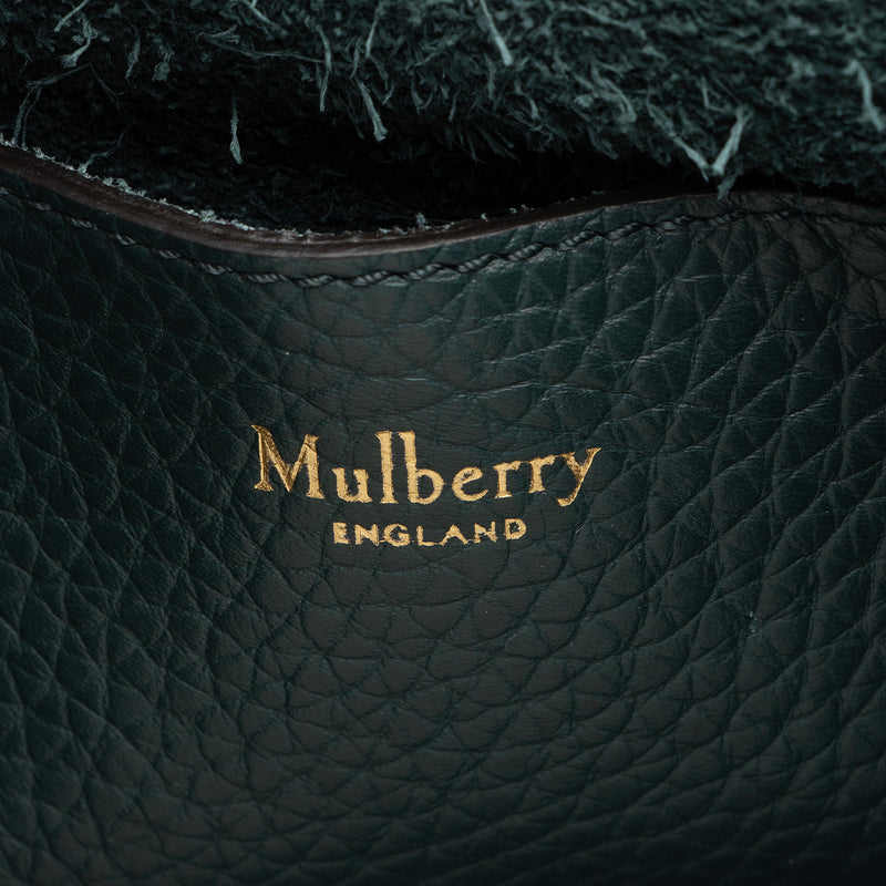 Mulberry Polished Buffalo Alexa Small Crossbody (SHF-JccItN)