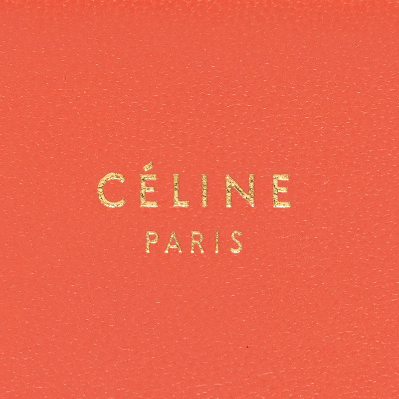 Celine Lambskin Frame Evening Clutch on Chain Crossbody Bag (SHF-14477 –  LuxeDH