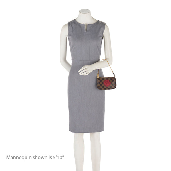 Louis Vuitton Damier Ebene Mini Pochette Accessoires - Brown Mini Bags,  Handbags - LOU771308