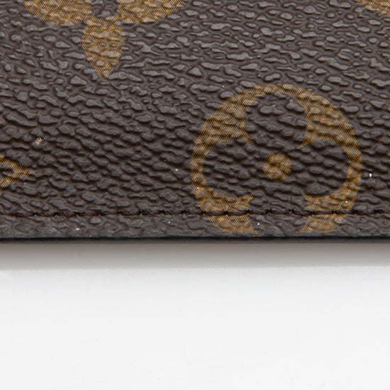 Louis Vuitton Monogram Canvas Felicie Insert (SHF-iCODLu) – LuxeDH