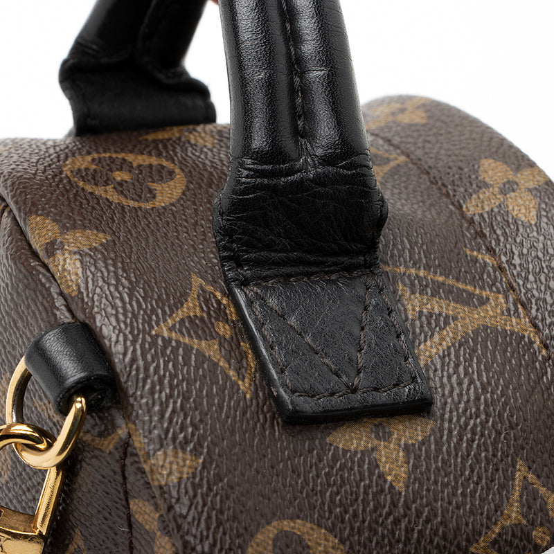 Louis Vuitton Palm Springs Mini Backpack - Luxe Du Jour