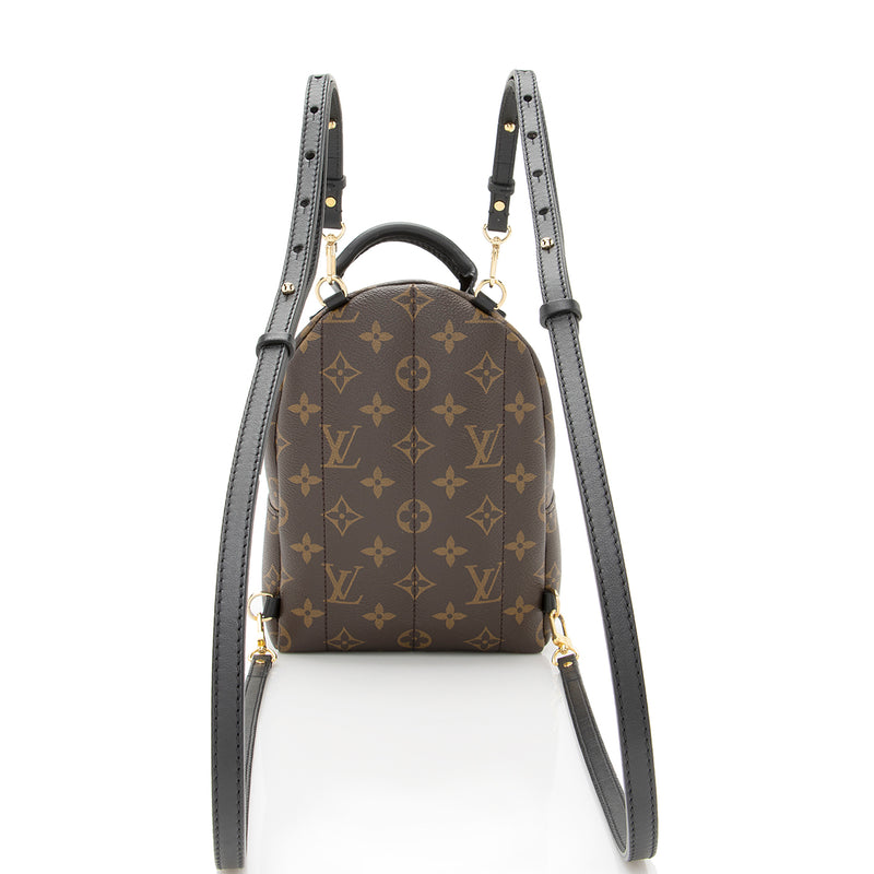 Louis Vuitton Monogram Canvas Palm Springs Mini Backpack, Louis Vuitton  Handbags