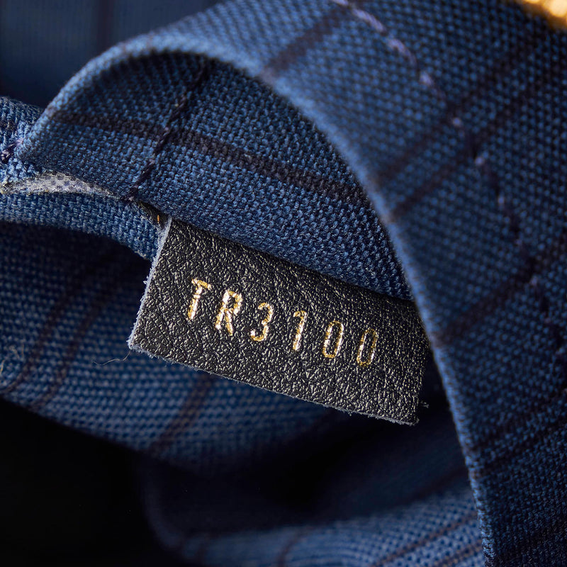 Pre-owned Louis Vuitton Bleu Infini Monogram Empreinte Pins