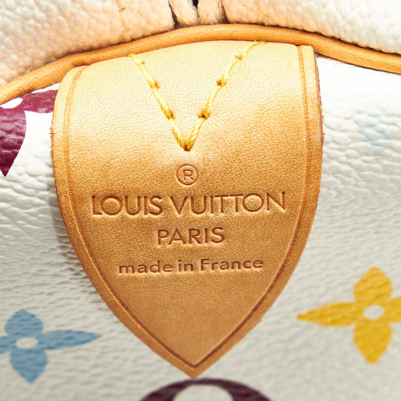 Speedy Louis Vuitton speddy 30 Multiple colors Leather ref.50437