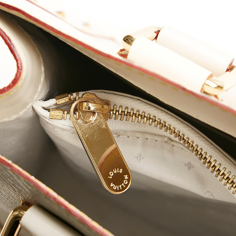 Louis Vuitton Limited Edition Le Fabuleux Handbag Vision Mink with